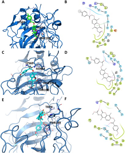 Figure 6. Representation of the putative binding mode of the EMAC10163 series most potent compounds obtained by docking experiments in complex with hCA XII. (A) 3D depiction of EMAC10163a and its respective interactions with CA XII residues; (B) 2D depiction of interactions; (C) 3D depiction of EMAC10163b and its respective interactions with CA XII residues; (D) 2D depiction of interactions; (E) 3D depiction of EMAC10164b and its respective interactions with CA XII residues considering a different orientation of the compound; (F) 2D depiction of interactions.