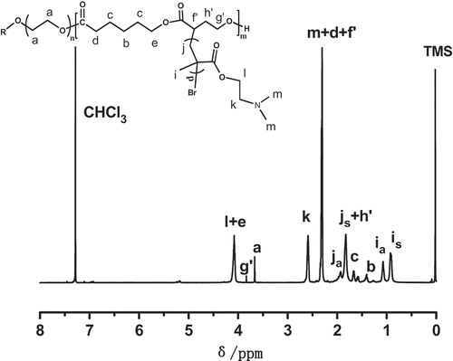 Figure 3. 1H-NMR spectra of the graft copolymer PEGCB3-g-PDMAEMA.