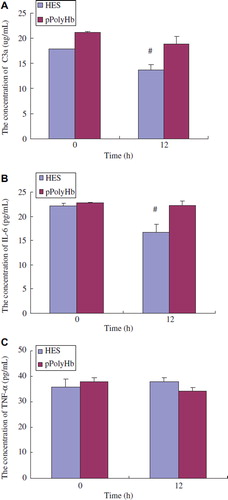 Figure 2. Changes of the levels of inflammatory mediators in healthy rats immunized by different agents. Sprague–Dawley rats (n = 12) were randomized into two groups: pPolyHb and Hetastarch (HES, control). The equal amount of pPolyHb (3 g/dl) and HES were injected into rats intravenously. Serum was collected before the immunization (base) and 12 h after injection. Complement C3a, IL-6, and TNF-α levels were detected using Rat Complement C3a Elisa kit, Rat IL-6 ELISA kits, and Rat TNF-α ELISA kits (R&D Systems) according to manufacturer's protocol. Assays were performed in triplicate. *P < 0.05 in comparison to baseline. A: Changes of complement C3a levels in healthy rats immunized by pPolyHb and HES at different periods; B: Changes of IL-6 levels in healthy rats immunized by pPolyHb and HES at different periods; C: Changes of TNF-α levels in healthy rats immunized by pPolyHb and HES at different periods.