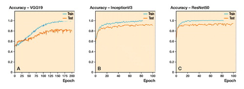 Figure 3. Accuracy plots for: (A) VGG19; (B) InceptionV3; and (C) ResNet50, as expressed for the automated method.