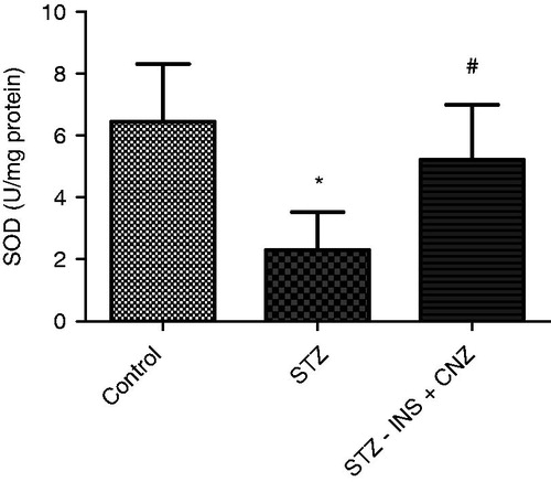 Figure 5.  SOD activity in liver from STZ-induced diabetic rats subjected to FST not treated (STZ) and treated with insulin plus CNZ (STZ − INS + CNZ) (n = 12–13) and controls (n = 12). Data represent mean ± S.D. *p < 0.05 compared to the control group; #p < 0.05 compared to the STZ group (ANOVA followed by the Duncan test).
