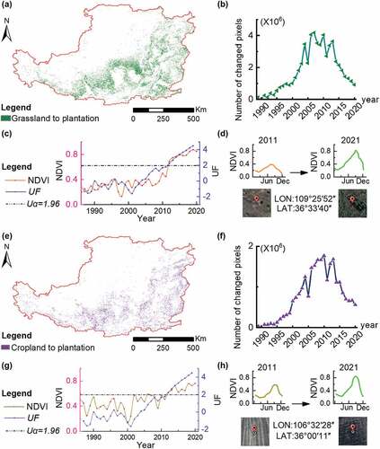 Figure 6. Conversion patterns for planting trees on grasslands (a–d) and returning croplands to forests (e–h), (a) spatial distribution of the grasslands converted to planted forests, (b) newly planted forest pixels from grasslands in each year, (c) inter-annual NDVI time-series and trend in MK statistics (UF) of a conversion process from grasslands to planted forests, (d) intra-annual NDVI time-series and corresponding Google Earth image in 2011 and 2021, and (e) spatial distribution of the croplands converted to planted forests, (f) newly planted forest pixels from croplands in each year, (g) inter-annual NDVI time-series and trend in MK statistics (UF) of a conversion process from croplands to planted forests, and (h) intra-annual NDVI time-series and corresponding Google Earth image in 2011 and 2021.