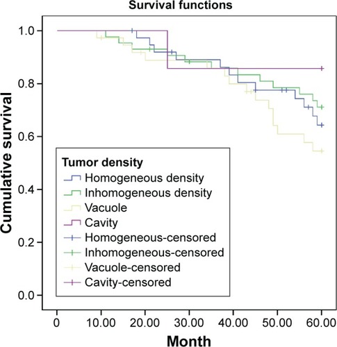 Figure 3 Survival curve of stage I non-small cell lung cancer patients with different computed tomography features of tumor density.