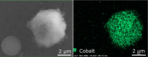 Figure 22. EDS mapping of LTO explosion particle containing cobalt. The results for the porous particle on the left were not clear probably due to its low effective density.