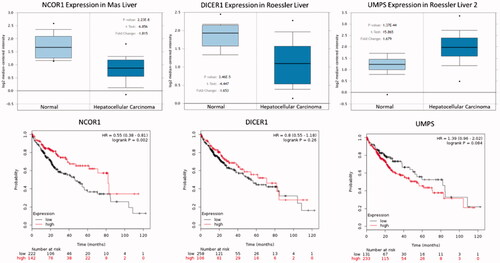 Figure 8. The box plot of expression value of NCOR1, DICER1 and UMPS in hepatocellular carcinoma. X-axis represents normal (left) and cancer group (right), Y-axis represents mRNA expression in log2 median/mean centered intensity. The figures below show the relationship between gene expression and survival time of patients.