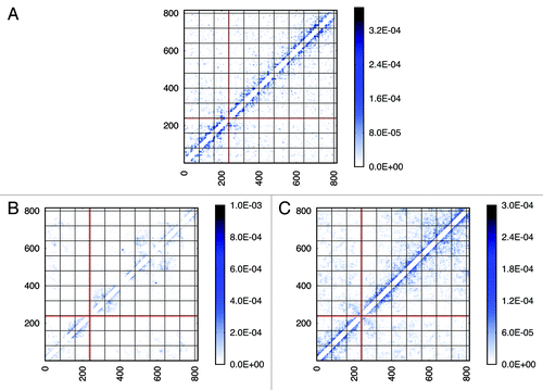 Figure 4. Comparison of intra-chromosomal contact patterns. Chromosome 2 is used as an example. Genomic positions along the chromosome are sized in kb. For each model, a contact pattern extracted from one possible conformation in the ensemble is shown. A raw contact pattern achieved from experiment is shown in (A). (B) for the “Gene Proximity Model” and (C) for the “Null Model”. More contact patterns can be found in the Supplementary Material.