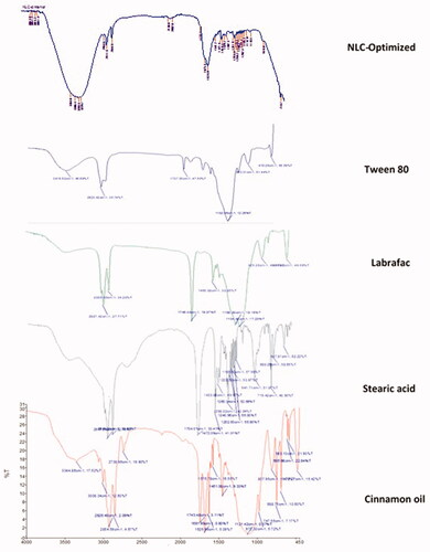 Figure 4. FTIR band spectra of cinnamon oil, stearic acid, Labrafac, Tween 80, and the chosen NLC-optimized formulation.