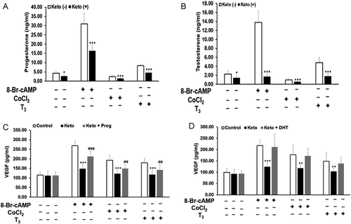 Figure 3. Effect of steroid synthesis inhibitor, ketoconazole, on secretion of steroids and VEGF by MLTC-1 cells under basal and stimulated conditions. Treatment with 20µM ketoconazole inhibited secretion of progesterone (A), testosterone (B), and VEGF (C,D) under basal and stimulated conditions. Addition of progestin R5020 (Prog) (C) and dihydrotestosterone (DHT) (D) reversed the inhibitory effect of ketoconazole on VEGF secretion. Bars represent mean ± SD of three experiments, each experiment performed in triplicate (n = 9). * p < 0.05; ** p < 0.01; *** p < 0.001 in cells treated without and with ketoconazole in the corresponding groups. ## p < 0.01; ### p < 0.001 in cells treated with only stimuli and stimuli + ketoconazole + exogenous progestin group.