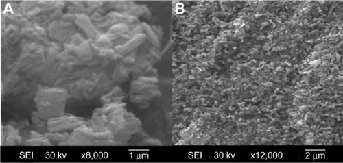 Figure 3 SEM of AP (A) and AP solid dispersion prepared with an AP/CNP ratio of 1:6 (B); magnification, 8,000×.Abbreviations: SEM, scanning electron microscopy; AP, apigenin; CNP, carbon nanopowder; SEI, secondary electrons image.