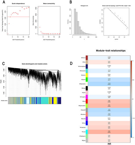 Figure 3 Weighted gene co-expression network analysis (WGCNA). (A) Analysis of the scale-free index for various soft-threshold powers (β). (B) The scale free topology whenβ= 3. (C) The clustering of genes among different modules by the dynamic tree cut and merged dynamic method. The gray modules represent unclassified genes. (D) The average correlations between multiple modules and clinical features. The colors of the cells indicate the strength of the correlation, and the numbers in parentheses represent the P value of the correlation test.