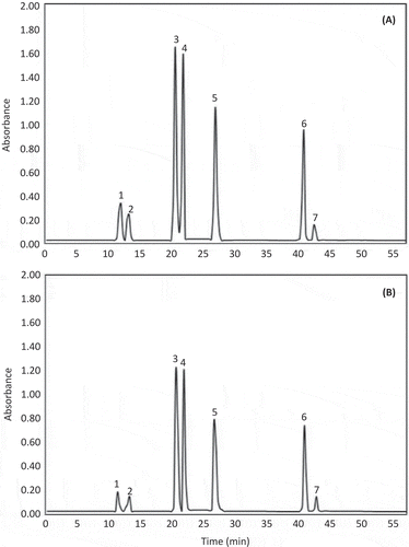 Figure 1. Typical HPLC-PDA kale carotenoid and chlorophyll chromatograms (shown at 450 nm) obtained from Winterbor (A) and Maribor (B) cultivars. Tentative identification of the chromatographic peaks was performed as indicated in Table 2. Peak assignments: (1) neoxanthin, (2) violaxanthin, (3) chlorophyll b, (4) lutein, (5) chlorophyll a, (6) all-trans-β-carotene and (7) 9-cis-β-carotene.Figura 1. Perfil cromatográfico típico obtenido mediante HPLC-PDA de carotenoides y clorofilas de kale (mostrado a 450 nm) presentes en los cultivares Winterbor (A) y Maribor (B). La identificación tentativa de los picos cromatográficos se realizó como se indica en al Tabla 2. Asignación de picos: (1) neoxantina, (2) violaxantina, (3) clorofila b, (4) luteína, (5) clorofila a, (6) all-trans-β-caroteno y (7) 9-cis-β-caroteno.