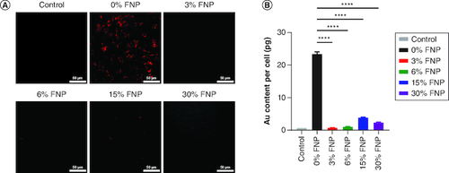 Figure 5. Cellular uptake of polymer-coated gold nanoparticles.(A) Dark field imaging of RAW 264.7 cells incubated with polymer-coated nanoparticles in OptiMem; red represents the gold content in cells (scale bar: 50 μm). (B) Quantitative analysis of polymer-coated nanoparticle uptake on RAW 264.7 cells using inductively coupled plasma optical emission spectroscopy. ****p ≤ 0.0001; ordinary one-way analysis of variance, Dunnett's multiple comparisons test, n = 3 independent experiments.FNP: Fluoro–gold nanoparticle.