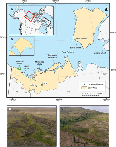 Figure 1. Map of the study area in the Beaufort Delta region. (a) The extent of main map (red) in North America and (b) an enlargement of Herschel Island (the green rectangle on the main map). (c) A photograph of typical terrain and ground cover on Banks Island (photo by T. Lantz). (d) A photograph of typical terrain and ground cover on the Tuktoyaktuk Coastlands (photo by J. Seider).