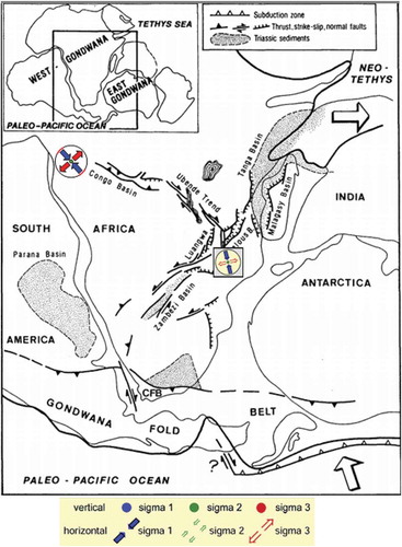  Figure 22.  Paleotectonic map of the Permo-triassic transition in African part of Gondwna. The reduce tensor find in Brazzaville are in the same range of orientation as that find in the TRM. Modified by from Delvaux (Citation2001b).