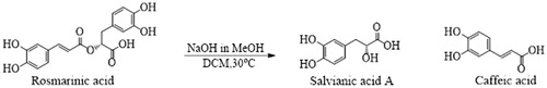 Figure 1. Hydrolysis of rosmarinic acid.