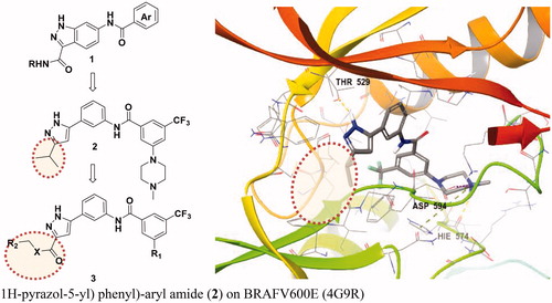 Figure 2. Selective BRAFV600E and CRAF inhibitors reported and docking mode of N-(3–(3-alkyl-1H-pyrazol-5-yl) phenyl)-aryl amide (2) on BRAFV600E (4G9R).