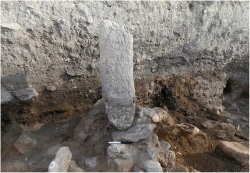 Figure 13 A stone monolith erected in Level Q-6b above the ruins of the Iron I destruction, looking north (courtesy of the Tel Aviv University Institute of Archaeology).