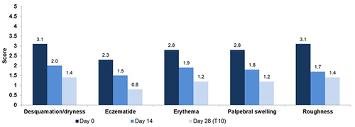 Figure 1 Clinical signs as assessed by the dermatologists at Day 0, Day 14, and Day 28 (T10). All clinical signs had significantly (p<0.05) improved after 14 days and 28 days of daily use.
