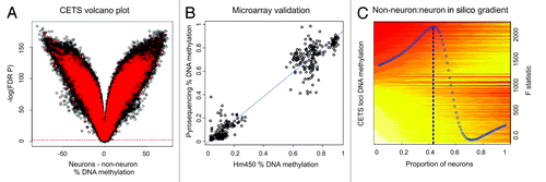 Figure 1. CETS model generation. (A) Volcano plot of DNA methylation vs. –log of FDR significance for neuronal vs. glial DNA methylation profiles. Almost the entire microarray identifies FDR significant changes across cell types. Red spots represent loci significant at a nominal p value of 0.05 in a comparison of MDD vs. control individuals that are excluded from CETS model generation. Green boxes represent top 10,000 CETS markers. (B) Scatterplot of DNA methylation as obtained by HM450 microarrays (x-axis) and by independent pyrosequencing assays (y-axis) at five loci within the top1000 CETS markers. (C) Heat map depicting the in silico virtual gradient of neuronal to glial DNA methylation at the top 10,000 CETS markers generated across our sample of 58 individuals. Yellow and red denote β values of methylated and unmethyated DNA, respectively. Linear modeling F-statistic for each neuronal proportion is overlaid (blue). Blue dashed line depicts the model prediction of 43%.