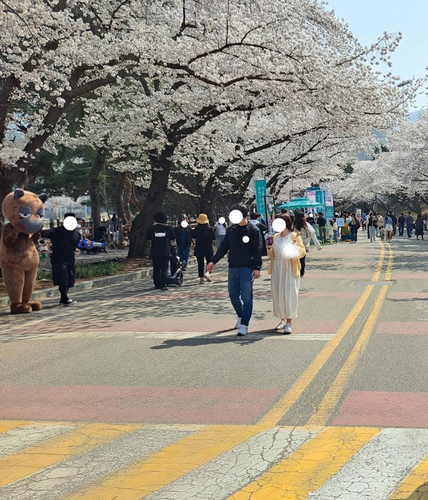 Figure 4. Cherry blossom, Let’s Run Park Seoul (Photograph by Author, 2023).
