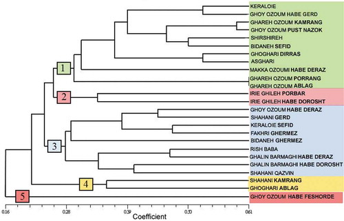 Figure 4. Cluster diagram for 25 grapevine accessions using microsatellite marker data based on Jaccard’s similarity coefficient and UPGMA algorithm