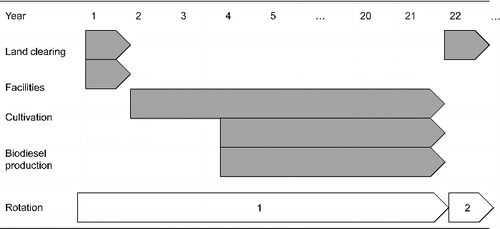Figure 2. Distribution over time of the jatropha production system in Koulikoro. The gray arrows indicate the production processes, while the white arrows show their distribution along one rotation lasting 20 years.