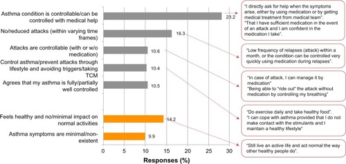 Figure 2 Perceptions of asthma control.