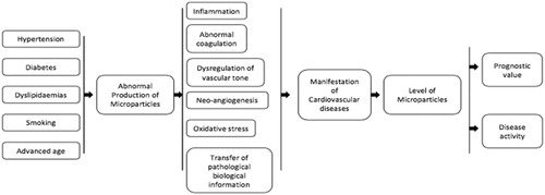 Figure 6. Cardiovascular diseases and microparticles. Flow chart which summarises the role of microparticles in the genesis (related with several risk factors) and manifestation of cardiovascular diseases. Utilisation as biomarkers to assess disease activity/severity, prognosis and treatment guidance is emerging as detection and enumeration methods for microparticles are improving.
