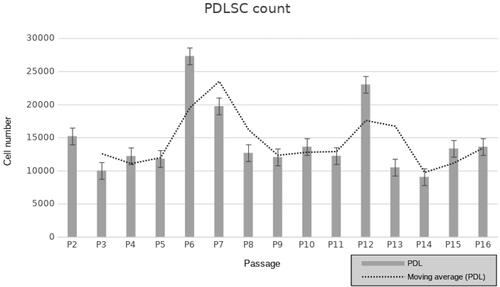 Figure 1. Cell proliferation of human PDLSC from 2nd to 16th passage (P). Population doubling was identified via the following formula: 3.32(lg (living cells count on detachment/seeded living cells number)). The trending line shows two peaks of proliferation detected after P6 and P12.