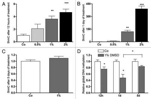 Figure 7. DMSO stimulates global 5-mC hydroxylation and decreases global DNA methylation in MC3T3-E1 cells. Already after 12 h, a concentration dependent increase in 5-hmC was seen reaching significance at 1% and 2% DMSO in culture medium (A). At the same time, at 1% DMSO, global DNA methylation decreased significantly (D). After 1 d, the effect on global hydroxylation of 5-mC as well as on global DNA methylation was stronger (B and D). After 5 d, when compared with control, at 1% DMSO in medium no significant effect on global DNA demethylation was measured. The recovery in global DNA methylation in the DMSO treated cells between day 1 and day 5 was significant (D). Results are represented as mean +/− SD *p < 0.05, **p < 0.01, ***p < 0.001. For (A and B) n = 6, for (C) n = 3. For (A and B) significances were calculated by one-way ANOVA, for (C) significances were assessed by Student t-test.