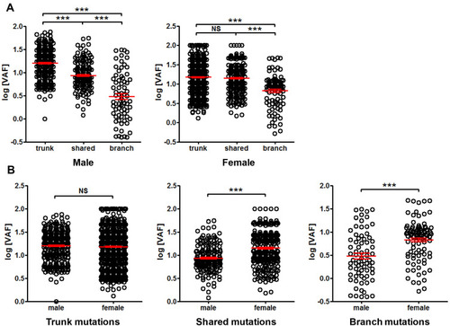 Figure 8 Comparison of mutation VAF between male and female patients. Panel (A) comparison of trunk, shared and branch mutation VAF in male or female. Panel (B) comparison of mutation VAF between male and female in trunk, shared and branch mutations, respectively. ***P<0.001.