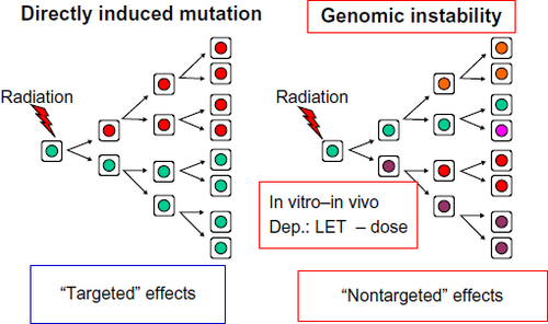 Figure 1 Radiation-induced genomic instability as a new mechanism of mutagenesis.