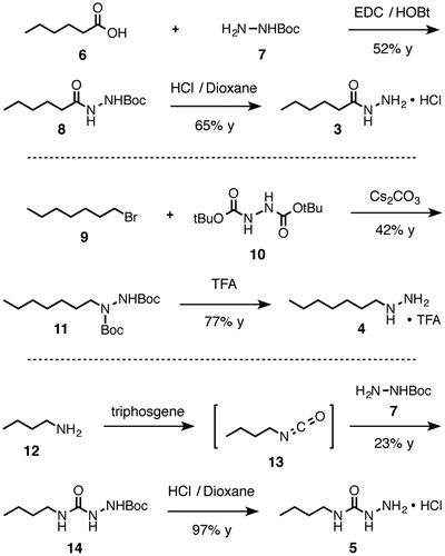 Scheme 1. Synthesis of inhibitors 3, 4, and 5. EDC = N-(3-dimethylaminopropyl)-N'-ethylcarbodiimide hydrochloride; HOBt = hydroxybenzotriazole hydrate; TFA = trifluoroacetic acid; Boc = tert-butoxycarbonyl; y = yield.