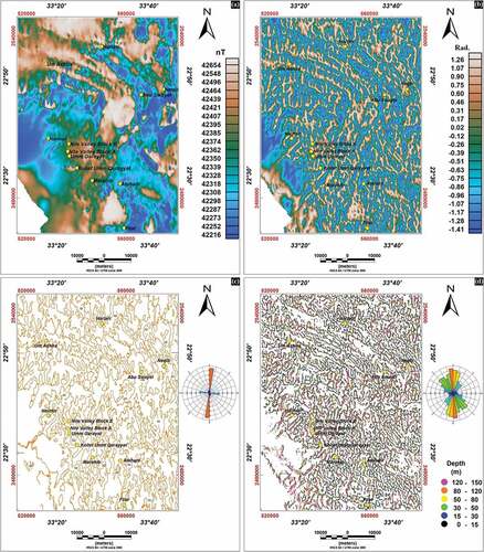 Figure 9. (a) RTP map. (b) Tilt derivative (TDR) map. (c) Zero contours of TDR map to outline the edges of magnetic anomalies, with their rose diagram. (d) Euler solutions estimated the depths to magnetic contacts at shallow depths (≤−150 m), with their rose diagram (ElGalladi et al. Citation2022).