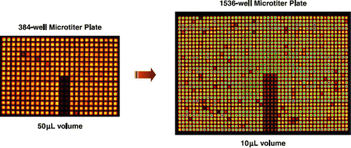 Figure 5.  Sample images of 384-well microtiter plate and 1536-well microtiter plate as imaged by the LEADseeker™ Multimodality Imaging System.