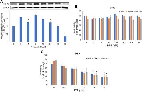 Figure 6 Expression of HIF-1α protein at different time points after hypoxia, and viability of HepG2 cells treated with PTS and PSN for 24 h. Viability of HepG2 cells and expression of HIF-1α protein (A). Cell viability following treatment with PTS (B) and PSN (C) under all hypoxia conditions. n = 3 of each group; *P < 0.05 compared with control.