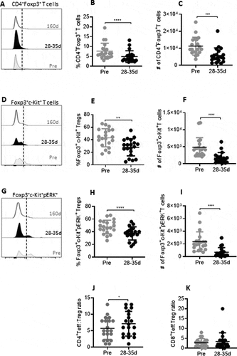 Figure 1. Reduction in Tregs and dynamics of ERK phosphorylation on c-Kit+Tregs during tivozanib therapy (A) Representative histogram offset showing frequency of CD4+Foxp3+ Tregs measured at pre, 28–35d and 160d of tivozanib treatment. (B) Frequency and (C) absolute numbers of CD4+Foxp3+ Tregs pre vs 28–35d (D) Representative histogram offset showing frequency of Foxp3+c-Kit+ Tregs measured at pre, 28–35d and 160d of tivozanib treatment. (E) Frequency and (F) absolute numbers of Foxp3+c-Kit+ Tregs pre vs 28–35d (G) Representative histogram offset showing frequency of c-Kit+pPERK+ Tregs measured at pre, 28–35d and 160d of tivozanib treatment. (H) Frequency and (I) absolute numbers of c-Kit+pPERK+ Tregs pre vs 28–35d (J) Ratio of CD4+CD127+ T cells to CD4+Foxp3+ T cells (CD4+CD127+ T cells/CD4+Foxp3+ T cells) pre vs 28–35d. (K) Ratio of CD8+CD127+ T cells to CD4+Foxp3+ T cells pre vs 28–35d. Each symbol represents an individual HCC patient. Frequencies of Tregs and T effector cells were calculated based on CD3+CD4+ T/CD3+CD8+ T cell population. **** P < 0.0001, *** P < 0. 001, ** P < 0.01, * P < 0.05, paired t-test, Pre vs 28–35d n = 17.