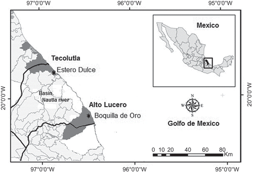 Figure 1. Location of the study sites in the coastal plain of Veracruz, Mexico.