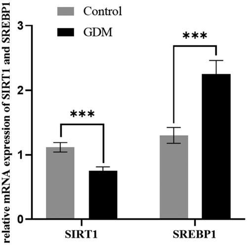 Figure 1. Relative mRNA expression of SIRT1 and SREBP1 in control and GDM groups.