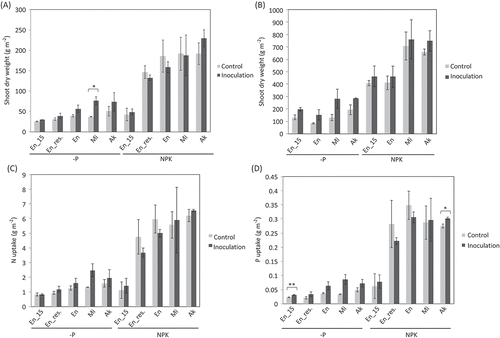 Figure 2. R10 inoculum effect on soybeans at flowering and seed maturation stages. Means of shoot dry weight at flowering stage (A) and seed maturation stage (B). Means of N uptake (C) and P uptake (D) at flowering stage. Bars indicate standard deviation of the means. Significant differences between inoculation and control treatments identified by t-test were indicated with asterisk(s) (*P < 0.05, **P < 0.01). Shoot dry weight in the plots of the residual effect on Enrei (En_res.) at seed maturation stage (B) was not determined. En_15, Enrei examined in 2015; En_res., residual effect of AMF inoculum in 2015 on Enrei examined in 2016; En, Enrei examined in 2016; Mi, Misuzudaizu examined in 2016; Ak, Akishirome examined in 2016.