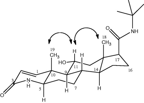 Figure 2. Important NOESY Correlation for metabolite II.