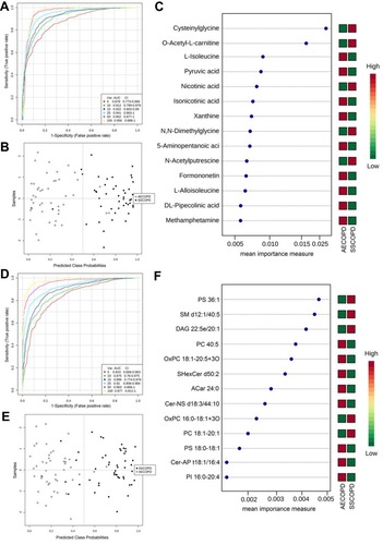 Figure 5 ROC analysis revealed candidate biomarkers for COPD disease stage diagnosis. (A and D) Multivariate ROC curve constructed with 5–100 metabolites (A) or lipids (D) based on the cross-validation (CV) performance. (B and E) The predicted class probabilities (average of the cross-validation) for each sample using the 15 feature model of metabolites (B) or lipids (E). The top 15 metabolites (C) or lipids (F) contributed to the prediction model ranked by mean importance measure and the expressive levels are presented aside by color (red, high; green, low). SSCOPD stands for Stable COPD group.