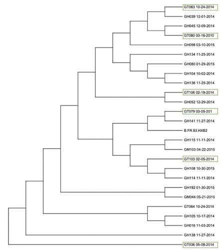 Figure 2. Phylogenetic analysis of Female Sex Workers (GT) cohort compared to sequences collected from men who have sex with men (GH) and migrants (GM) in the Tecún Umán region. Sequences highlighted with a green box indicate Female Sex Workers included in the study (n = 6) which were compared to samples from other high-risk populations within the same area of Tecún Umán. The prefix ‘GH’ indicates men who have sex with men (MSM) while ‘GM’ indicates individuals who are migrants. One additional FSW was included, GT064, however this individual is not part of the study cohort. The phylogenetic tree includes HIV type 1 reference sequence B.FR.83.HXB2. FSW were most closely related to sequences from MSM rather than other female sex workers.