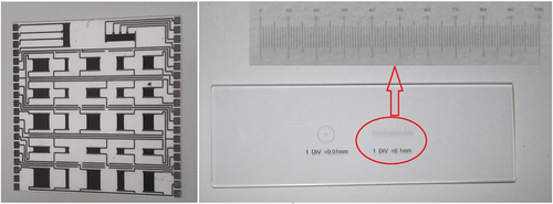 Figure 4. The thick-film resistor network on alumina (left) and the microscope reticle calibration slide ruler (0.1 mm/division and 0.01 mm/division) (right) used for camera focus setting and spatial resolution measurements.