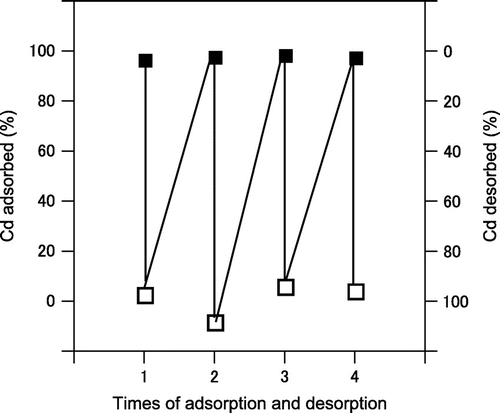 Fig. 6. Test of repeated cadmium adsorption–desorption by immobilized A. nicotianae IAM12342 cells.Closed symbols indicate the percent adsorption and open symbols indicate the percent desorption.