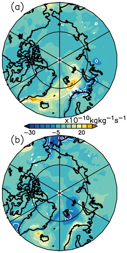 Fig. 10. Composites of specific humidity advection at 1000 hPa during positive (a) and negative (b) precipitation anomalies in NyÅlesund. The composites are constructed for years when precipitation anomalies were positive and negative during La Nina/El Nino respectively. Contours represent regions of significance at 95% confidence level.