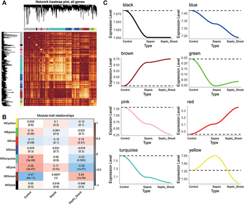 Figure 2 WGCNA of genes showing large expression variance in sepsis patients. (A) Network heatmap of unsupervised cluster analysis of module genes. Different colors in columns and rows represent different modules. (B) Correlation of modules with clinical traits. Each column represents a different module; each row, a different clinical phenotype. Red indicates positive correlation; blue, negative correlation. (C) Progressive up- or down-regulation in a module in the trend: healthy controls < sepsis < sepsis shock.