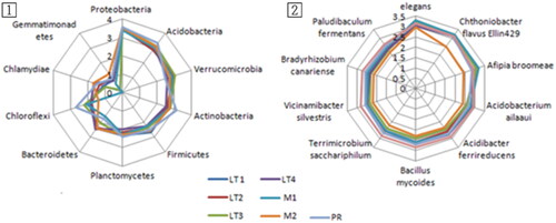 Figure 3. Distribution patterns of the top 10 represented microbial phylum (1) and species (2) in the soils of different stands. The scale is the log(abundance) of each species.