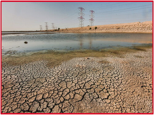 Figure 5. The old ponds were drained gradually from 2014 till 2020.