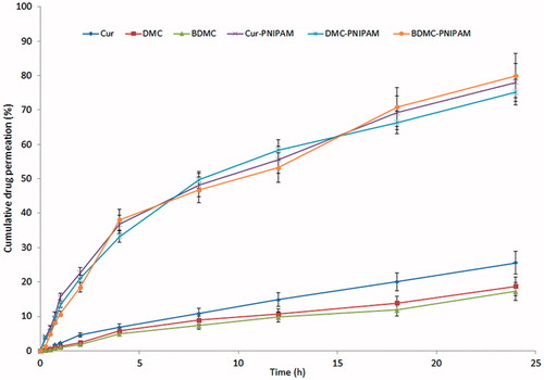 Figure 5. Ex vivo permeation profiles of developed NPs as compared to pure curcuminoids through goat nasal mucosa.